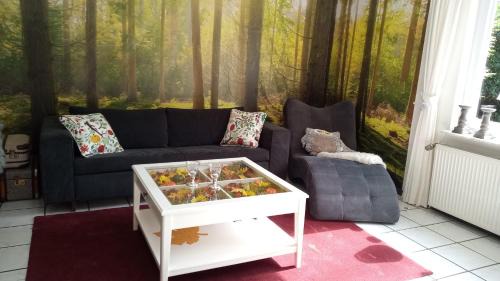 Buchholz House | Wald-Elfe