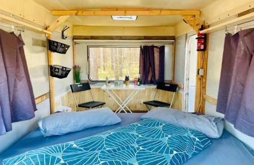 Cottbus Other | Family-Friendly OutdoorCamp: Cozy Huts & Tent Spaces