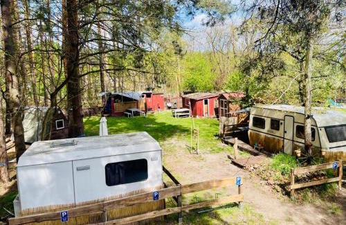 Cottbus Other | Family-Friendly OutdoorCamp: Cozy Huts & Tent Spaces