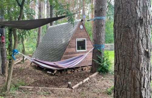 Cottbus Other | Family-Friendly OutdoorCamp: Cozy Huts & Tent Spaces