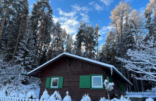 Natters Ski Chalet | Experience Waldchalet am Eichhof: 4-Star Pet-Friendly Retreat