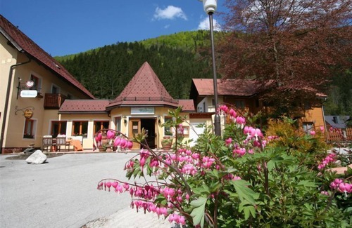 Goestling an der Ybbs Hotel | Relaxing Retreat at Waldesruh with Pool and Spa Access