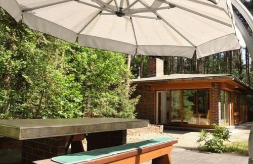 Maasdorf House | Pet-Friendly Waldhaus Jakober with Exceptional 8.9 Rating
