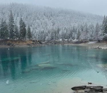 Laax Bed & Breakfast | Discover Waldheim Pension Laax: Pet-Friendly Retreat