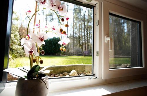 Kuesten Apartment | Unforgettable Waldidylle: Family-Friendly Retreat Awaits