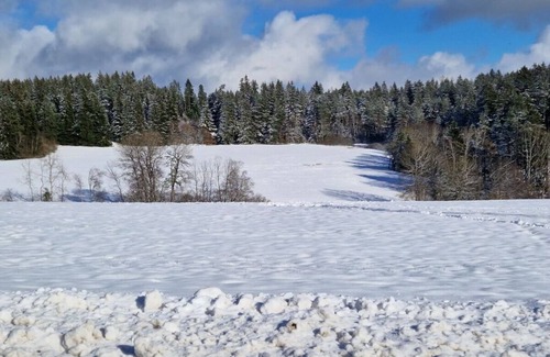 Unterkirnach House | Waldresidenz: Family-Friendly Holiday Residence with Kitchen