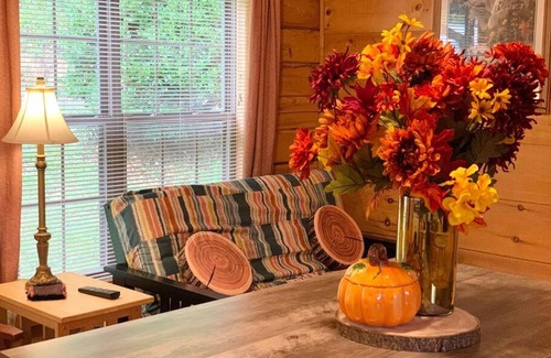 Lake Lure House | Explore Lake Lure from the Cozy Autumn Splendor Cabin