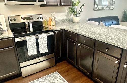 Starkville Condo | Walk to Stadium Cotton Row Mugshots Bulldog 2 Free Parking Spaces