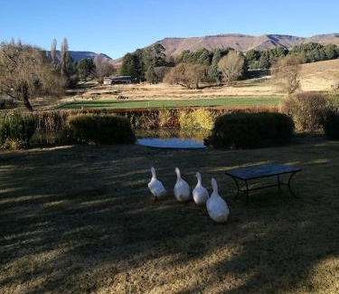 Rhodes House | Discover Walkerbouts Inn: Pet-Friendly with Breakfast Included