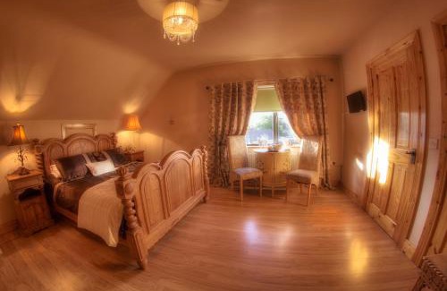 Carlingford Bed & Breakfast | Discover Walkers Nest: Pet-Friendly Retreat with Top Ratings