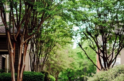 Oxford Condo | Walking distance to Vaught Hemmingway Stadium! Perfect for football Weekends!