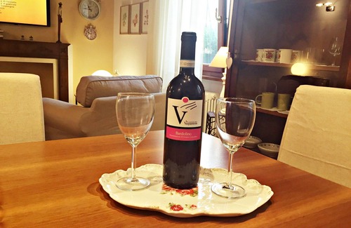 Cittadella Apartment | Beautiful Wallace Home: Guest Rated 9.8 with Spa & Breakfast