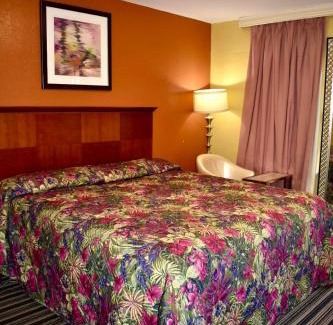 Walnut Forest Hotel | Family-Friendly Walnut Forest Motel for Memorable Getaways