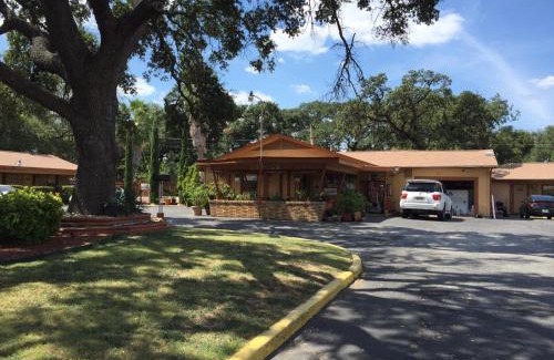 Walnut Forest Hotel | Family-Friendly Walnut Forest Motel for Memorable Getaways