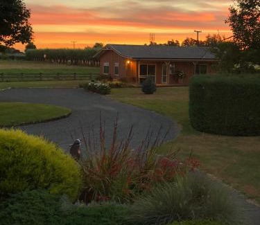 Matamata Bed & Breakfast | Cozy Walnut Lodge B&B: Guest Rated 9.8 with Breakfast & Dining