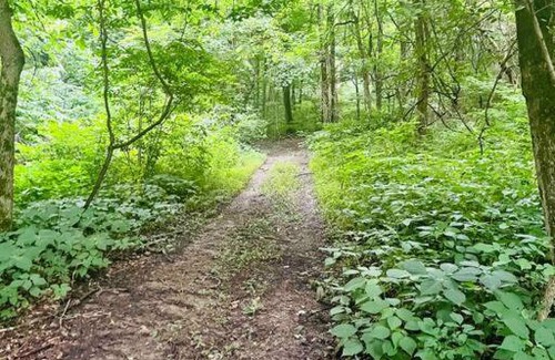 Glenford House | Walnut Lodge Cabin: Your Private Oasis Awaits