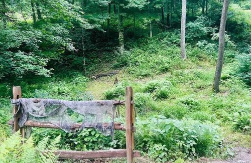 Glenford House | Walnut Lodge Cabin: Your Private Oasis Awaits