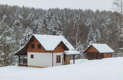 Korczyna Ski Chalet | Wanatówka: Oceanfront Retreat with Exceptional 9.9 Rating
