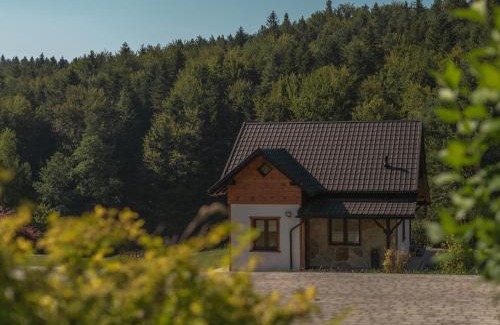 Korczyna Ski Chalet | Wanatówka: Oceanfront Retreat with Exceptional 9.9 Rating