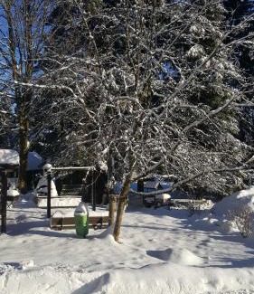 Neuhaus am Rennweg House | Pet-Friendly Stay at Wanderhütte Zum Bernhardsthal, 8.8/10
