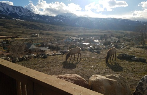 Gardiner Cabin | Wanderlust Haven: Your Gateway to Gardiner & Yellowstone