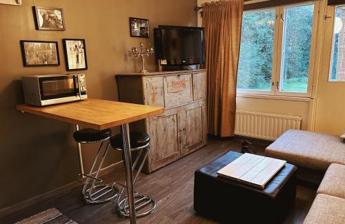 Reittio Apartment | Cozy Apartment at Wanha Koulu Tahkovuori with Sauna & Pets