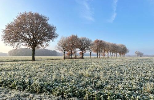 Exloo Hotel | Relax at Wapen van Exloo: Family-Friendly with Breakfast