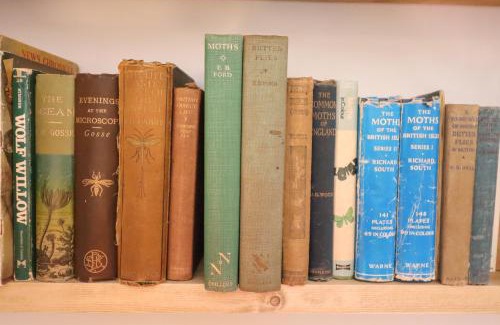 Bures House | Warren Cottage: Family & Pet-Friendly Getaway Awaits