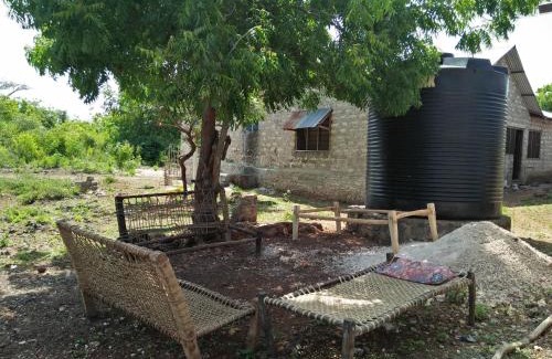 Wasini Island House | Experience Wasini Raha: Snorkeling, Diving & Private Beach