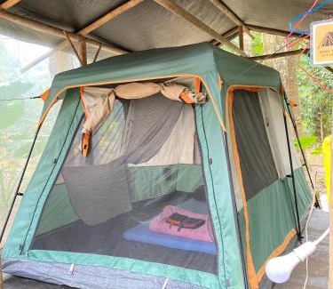 Khlong Sok Other | Explore Wassana Camp & Khai Jungle Adventure for Families