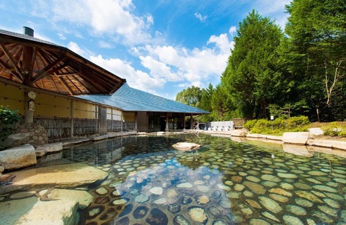 Tanabe Hotel | Discover Watarase Onsen Hotel Sasayuri: Hot Tub Retreat