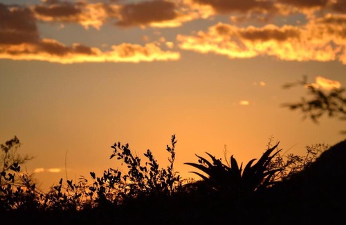 Groenvlei House | Waterberg Hideaway: Pet-Friendly Retreat with Pool Access