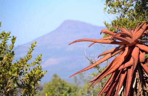 Groenvlei House | Waterberg Hideaway: Pet-Friendly Retreat with Pool Access