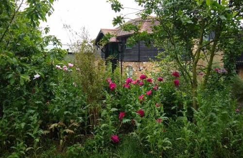 Sittingbourne Apartment | Cozy Watercress Barns: Pet-Friendly & Family-Ready Stay