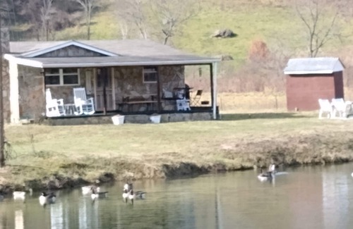 Barnardsville Cabin | Scenic Waterfront Cabin with Mountain Views near Asheville