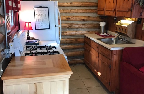 Lac du Flambeau Cabin | Pet-Friendly Lakefront Log Cabin with Beach Access & Views