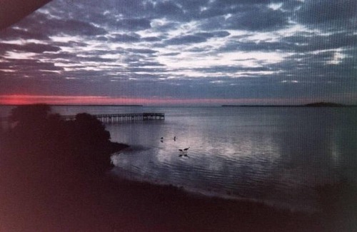 Port Charlotte Condo | Scenic Waterfront Condos with Oceanfront Views & Pools