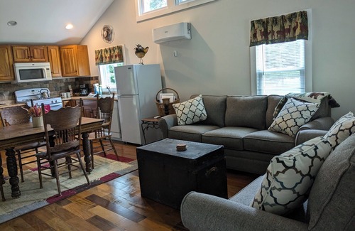 Livingston Manor Cabin | Experience the Debruce Riverside Cabin on Willowemoc River
