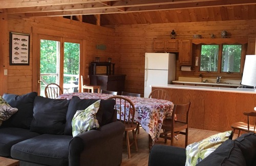 Waterford House | Cozy Waterfront Log Home with Spa & Lake Views Near Skiing