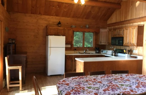 Waterford House | Cozy Waterfront Log Home with Spa & Lake Views Near Skiing