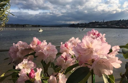 Merimbula Apartment | Guest Rated 10/10: Waterfront Escape on Merimbula Lake