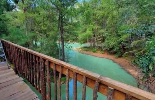 Waller House | Enchanting Waterfront Treehouse in a Magical Forest