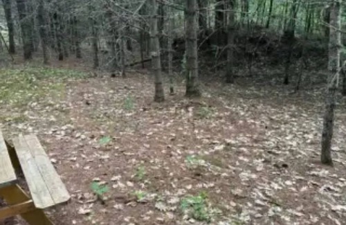 Limerick Cabin | Pet-Friendly Retreat at Watersrock Woods Camp Site 2