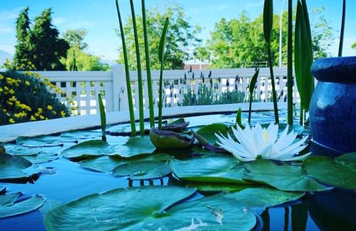 Somerset West House | Experience Waterstone Lodge: Oceanfront Bliss & 9.3 Rating