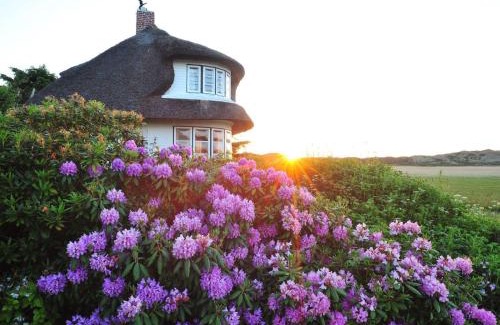 Kampen Villa | Experience Watthues: Oceanfront Retreat with Spa & Pet-Friendly
