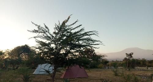 Amboseli Cabin | Welcoming WE4Kenya Guesthouses: Pet-Friendly Retreat