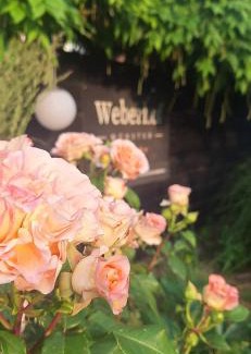 Munster Apartment | Family-Friendly Weberhof Apartment 5 with Pool, Rated 8.8