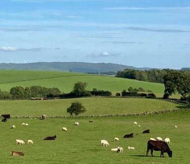 Kirkmichael Ski Chalet | Exceptional Wee Shepherds Hut in Maybole - Rated 10/10