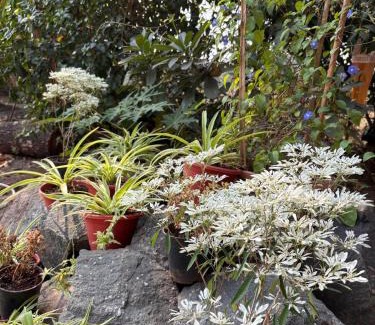 Bhiwandi Villa | Weekend Escape Near Mumbai