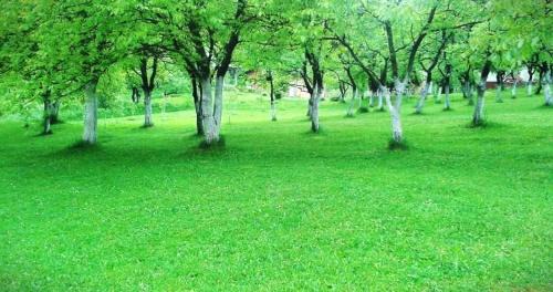 Lohovo House | Family-Friendly Weekend Retreat at House EMMA - Rated 10/10
